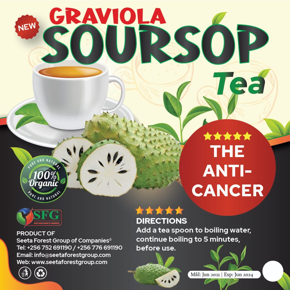 Graviola Soursop Tea ~ The Anti-Cancer (Big)