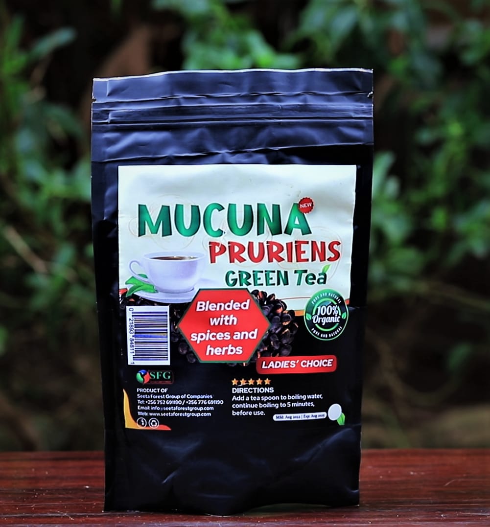 Mucuna Pruriens Green Tea ~ 100% Organic