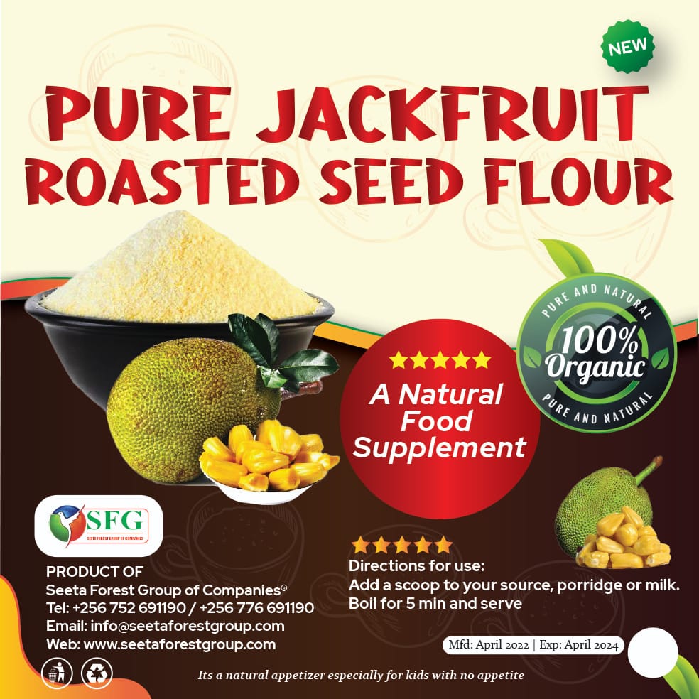 Pure Jackfruit Roasted Seed Flour ~ 100% Organic