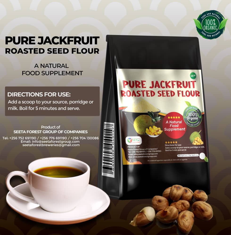 Pure Jackfruit Roasted Seed Flour ~ 100% Organic